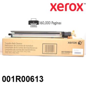 001R00613