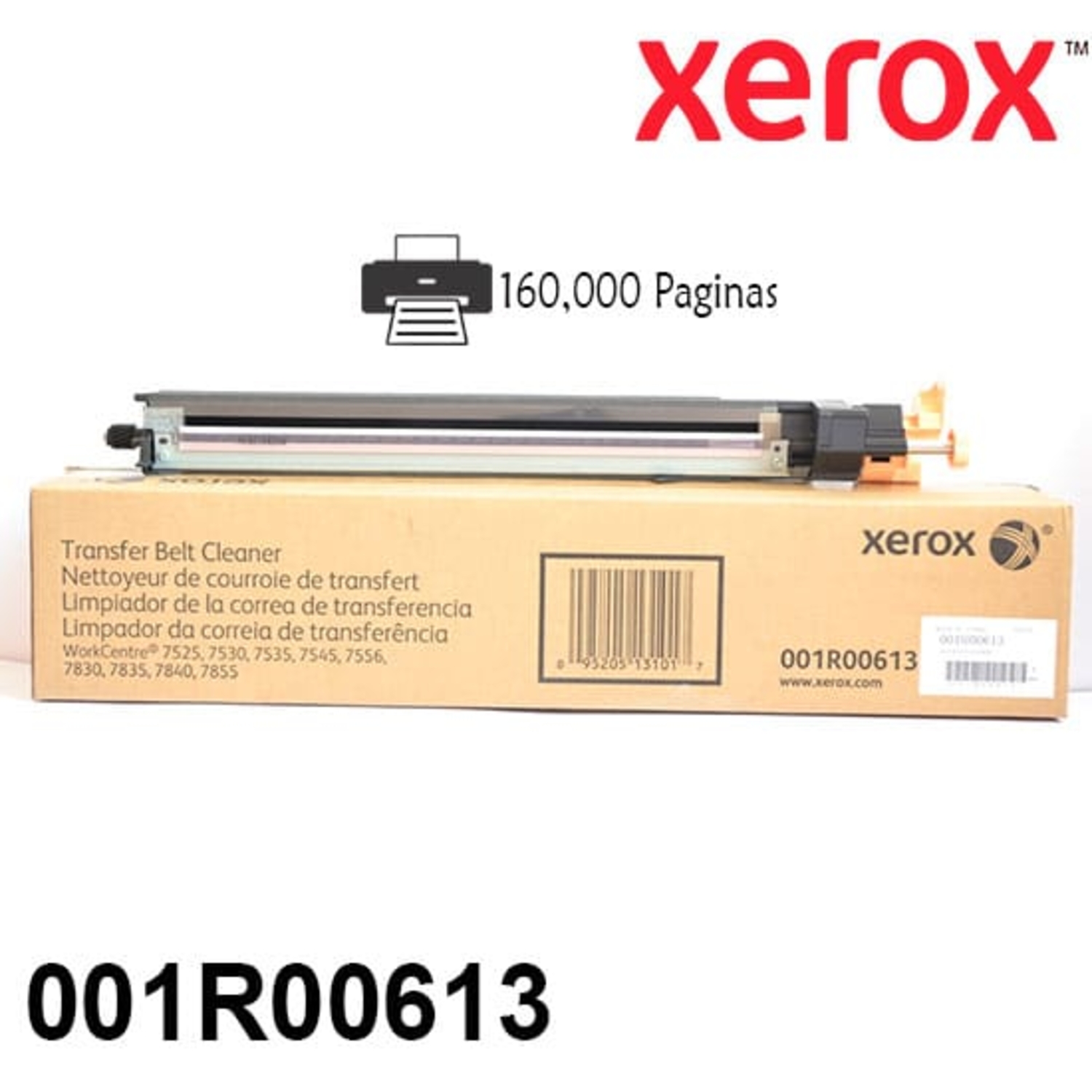 001R00613
