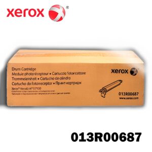 013R00687